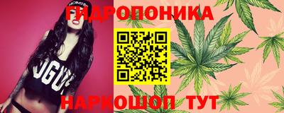 индика Белорецк