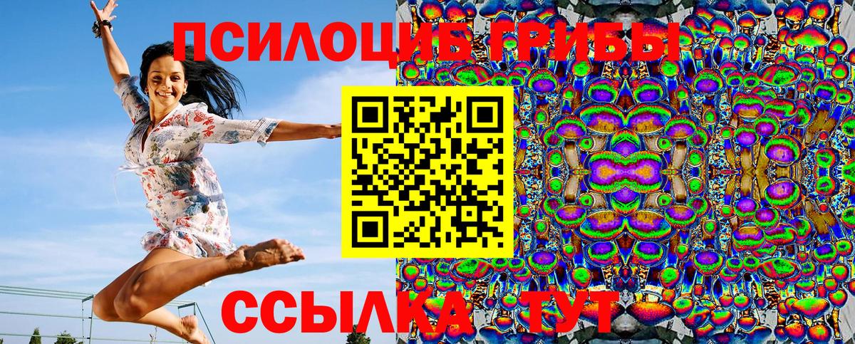 Ачинск  Псилоцибиновые грибы Psilocybine cubensis  Вход с VPN 
