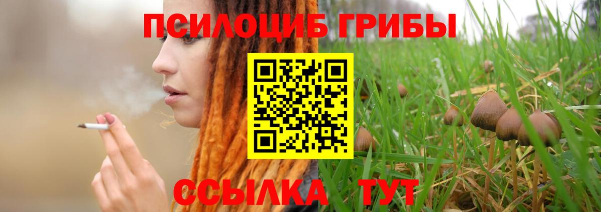 Псилоцибиновые грибы мицелий Ачинск